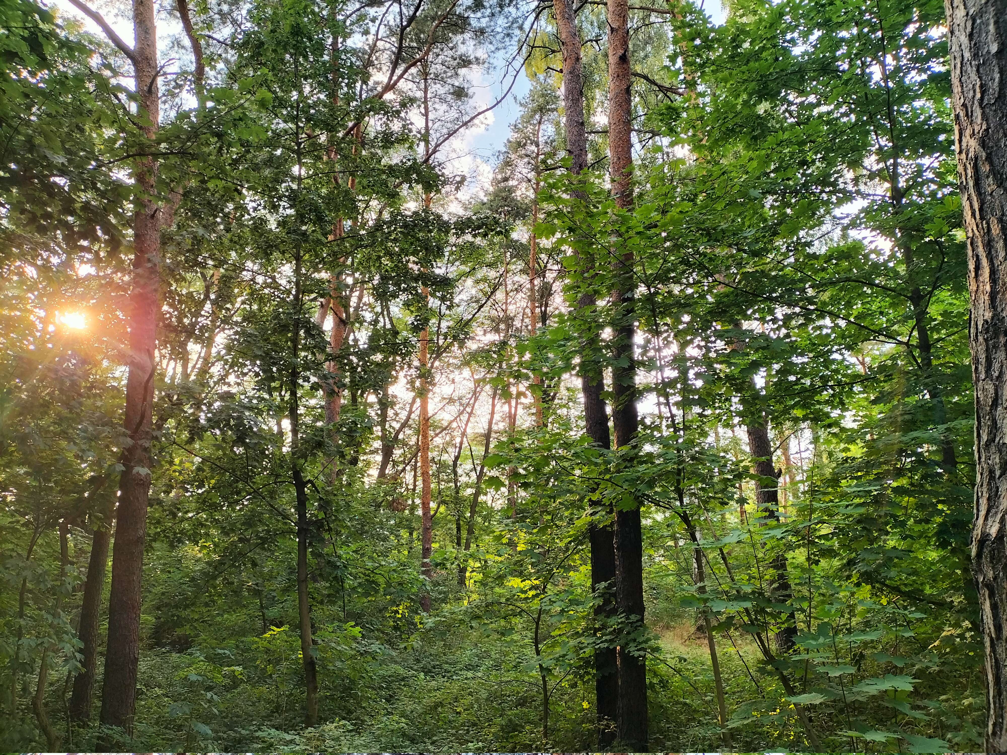 70.jpg
